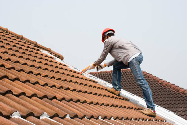 Best Roof Maintenance and Cleaning  in Fowler, CO